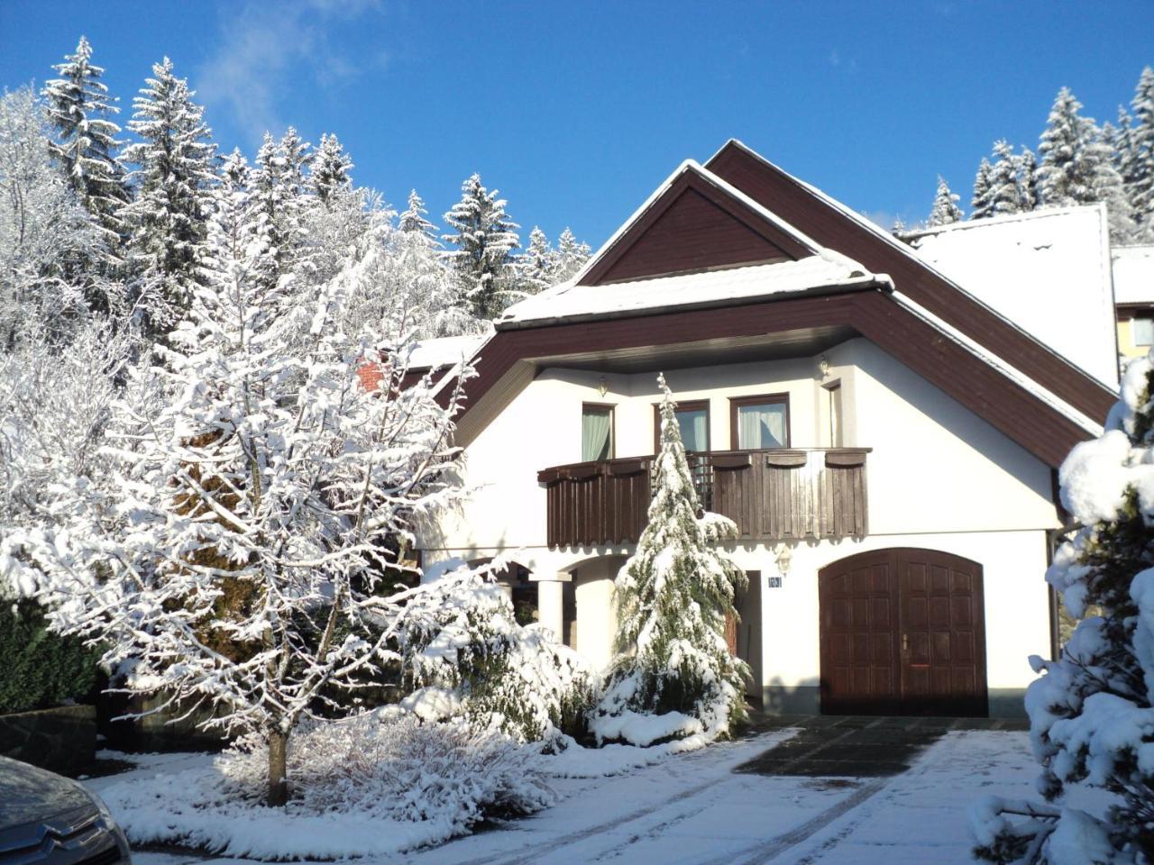 Golnik Pr'Simi Bed & Breakfast エクステリア 写真