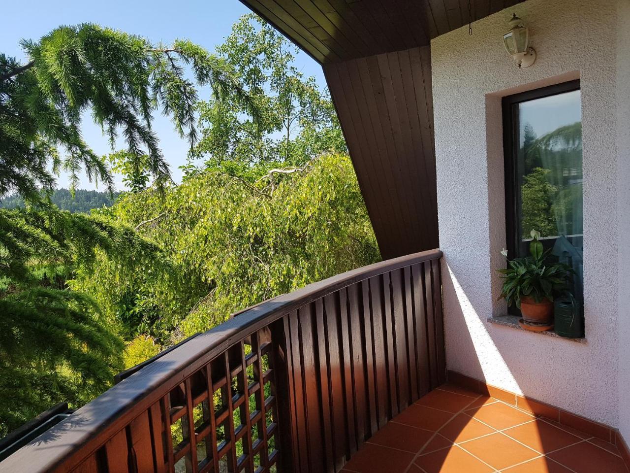 Golnik Pr'Simi Bed & Breakfast エクステリア 写真