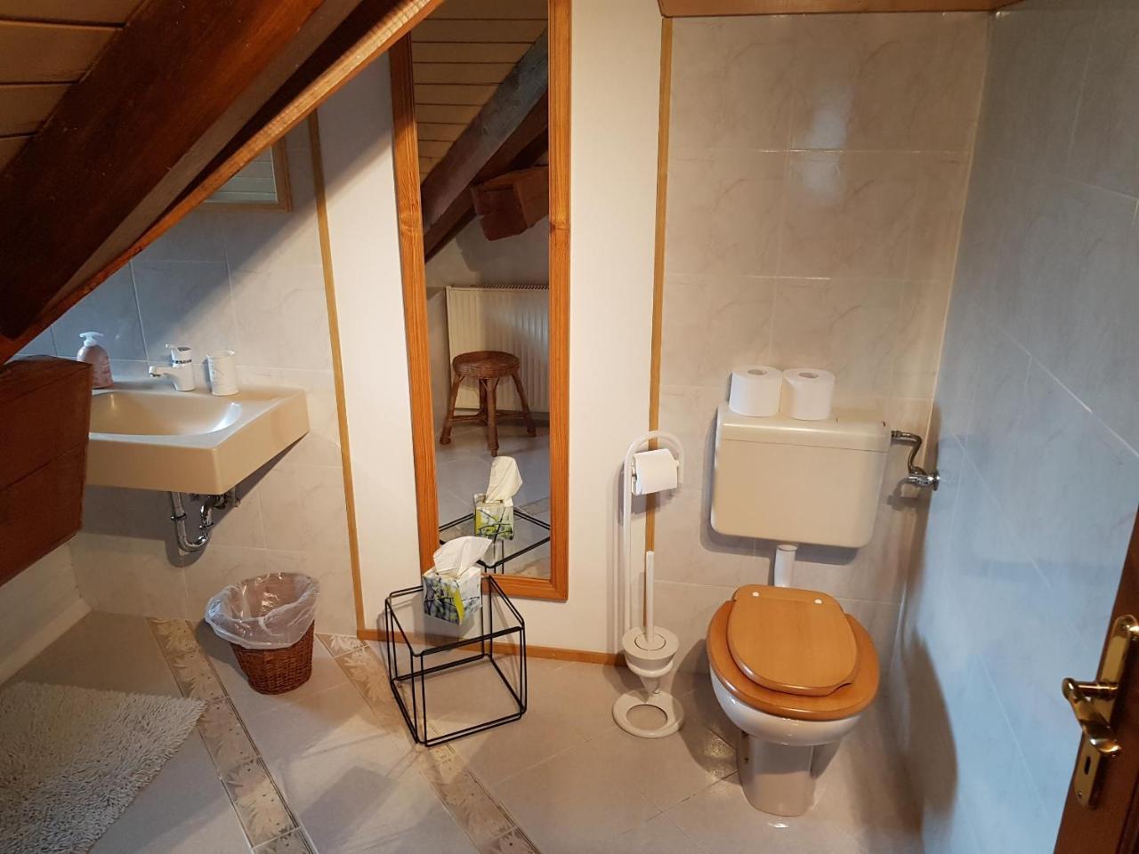 Golnik Pr'Simi Bed & Breakfast エクステリア 写真